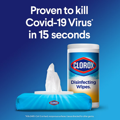 Clorox Disinfecting Wipes Value Pack, 5 pk.